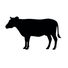 Vector hand drawn flat cow silhouette isolated on white background