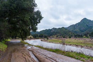 Fototapeta na wymiar Malibu Creek State Park muddy after a large rainfall in southern California. Streams overflowing, lush green grass, large oak trees, clouds, dam rushing, water flowing.