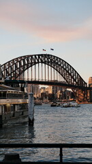 Fototapeta na wymiar Sydney city harbour bridge at sunset