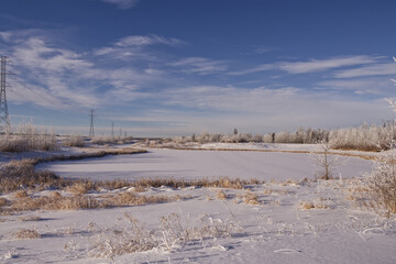 Pylypow Wetlands in the Winter