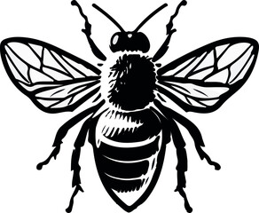 black and white bee - obrazy, fototapety, plakaty