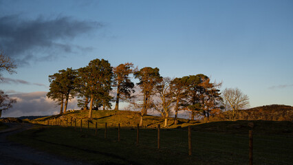 Obraz premium wonderful nature and cloudy sky view.