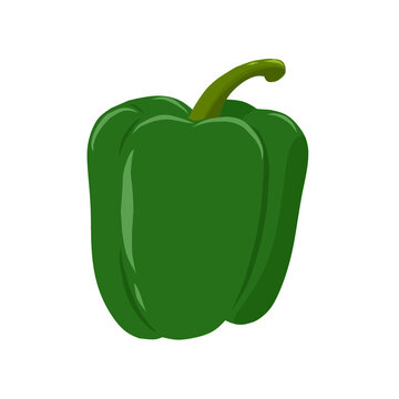 Illustration of green pepper