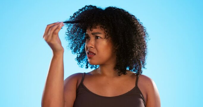 Afro, hair damage and confused black woman on blue background with problem, hairstyle frizz and loss. Beauty salon, hairdresser and frustrated girl with strand for treatment, grooming or cosmetics