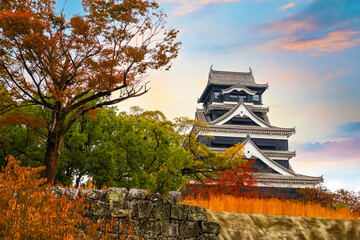 Kumamoto, Japan - Nov 23 2022: Kumamoto Castle's history dates to 1467. In 2006, Kumamoto Castle...