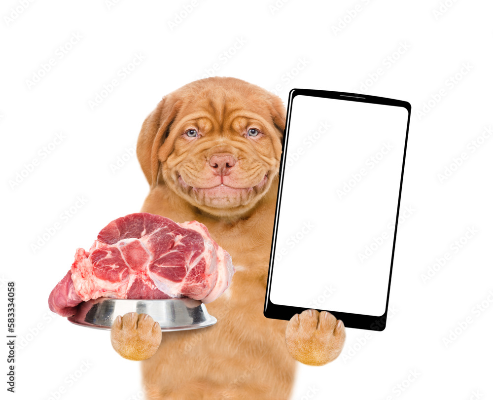 Poster smiling puppy holding bowl of raw meat and shows empty screen of smartphone. isolated on white backg