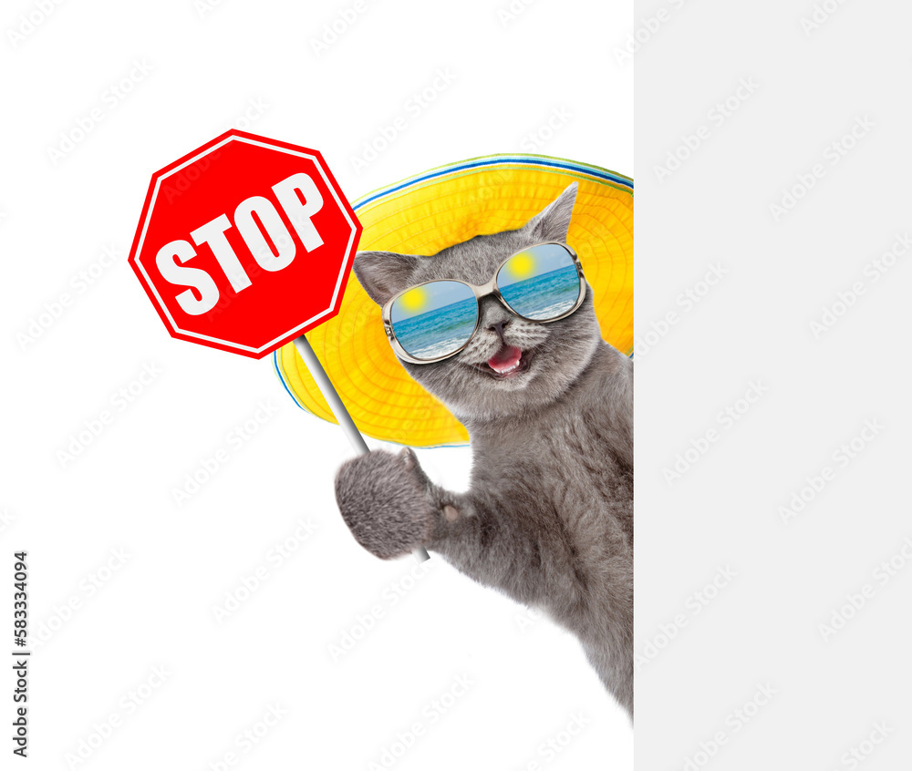 Poster happy cat wearing mirrored sunglasses and summer hat looks from behind empty board and showing stop 