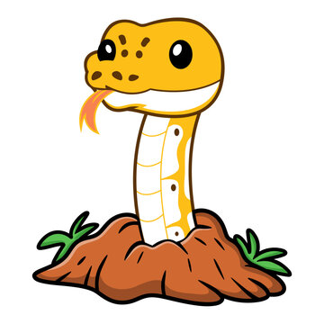 Cute pastel ivory ball python cartoon out from hole