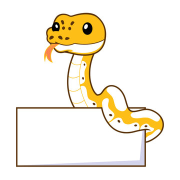 Cute pastel ivory ball python cartoon with blank sign