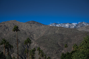 2023-01-26 A MOUNTAIN RANGE IN PALM SPRINGS WITH A BARE MOUNTAIN AND A SNOW COVERED MOUNTAIN INTHE BACK WITH PALM TREES AND BLUE SKY