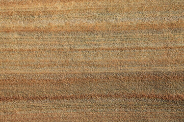 Striped sandstone - Valley of Fire - Nevada