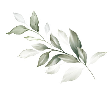 leaves isolated on white. Watercolor style with a delicate bouquet of flowers  in a wedding card.