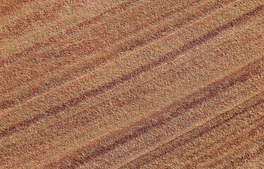 Fototapeta na wymiar Diagonal stripes in sandstone - Valley of Fire - Nevada