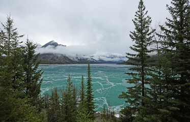 Lake Minnewanka between trees, Canada