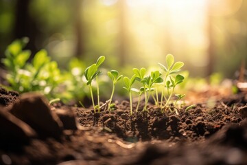 Fototapeta premium Green young plant sprout growing in the ground Generative AI