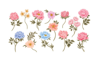Botanical flowers, rose, tulip, peony, and leaf branch vector illustration element collection