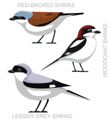 Cute Bird European Shrike Set Cartoon Vector
