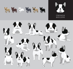 Dog French Bulldog Pied Black Coat Cartoon Vector Illustration Color Variation Set
