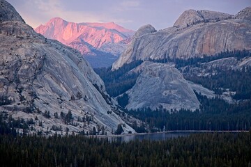 The high country of Yosemite glows in purple and pinkish tones with towering rock formations in the backgorund and Tenaya Lake in the foreground