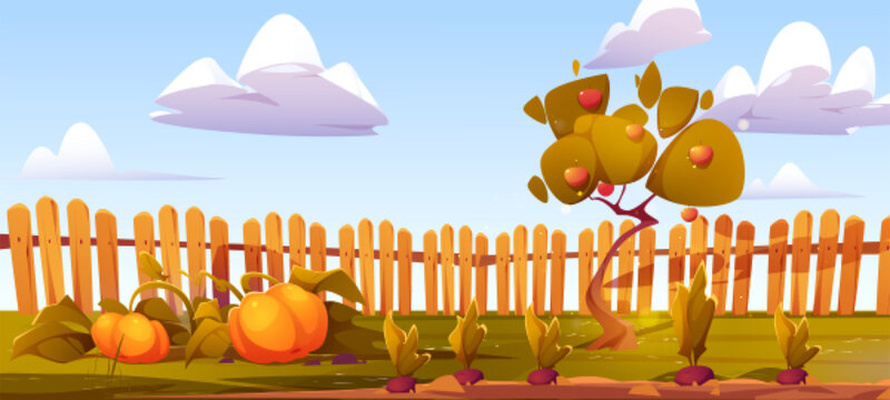 Cartoon fruit and vegetable garden. Vector illustration of apple tree, pumpkin and rootbeet harvest growing on ground in backyard surrounded by wooden fence under blue sky. Farming game background