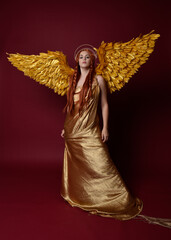 Full length portrait of beautiful woman model with long red hair, gold silk robes, crown & fantasy feather angel wings. Standing pose gestural hands reaching out isolated on dark red studio background