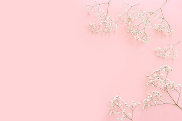 Top view of small white gypsophila flowers over pastel pink background