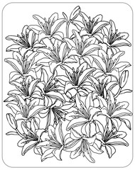 background with flowers, lilly flower coloring page