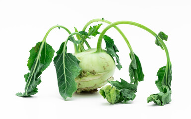 Kohlrabi