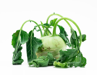 Kohlrabi