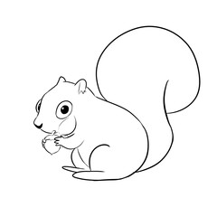 illustration of a cartoon squirrel