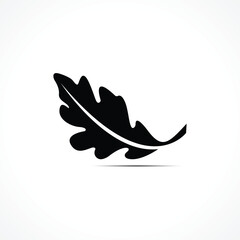 OAK leaf vector logo isolated.logo template