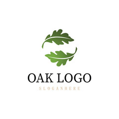 OAK leaf vector logo isolated.logo template
