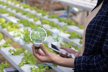 Agriculture technology farmer woman using  mobile phone computer analysis data and visual icon. Smart farm concept..