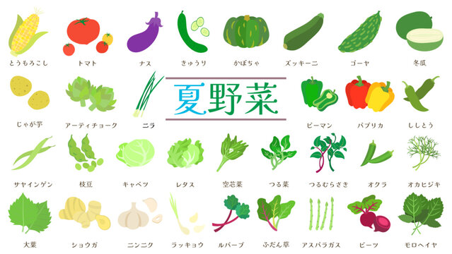 夏野菜のイラストセット。フラットなベクターイラスト。
Illustration set of summer vegetables. Flat designed vector illustration.