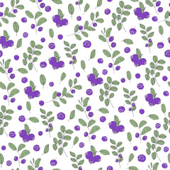 Hand-drawn seamless pattern with blueberries on white background. Wild berries design for fabric, templates, wallpaper, cards.