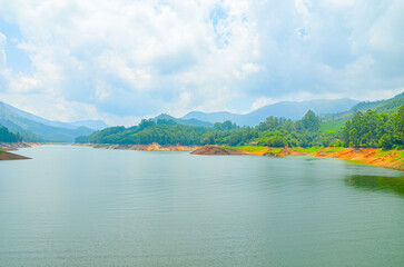 A rivulet on Munnar hills