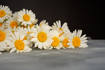 White daisies close-up on the table. Warm sunlight soft focus, macro yellow stamens. The concept of tenderness purity and innocence. Fragile romantic flowers. Healing wildflowers for natural cosmetics