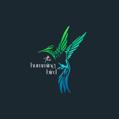 Hummingbird icon logo concept with colorful gradient style vector illustration