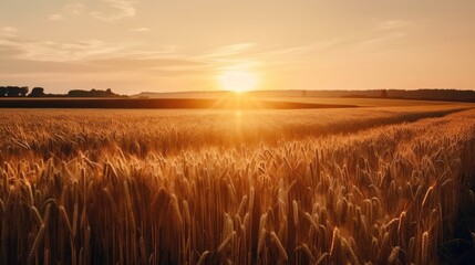 Background ripe golden wheat field with sunset, wide view. Concept agricultural industry, generative ai