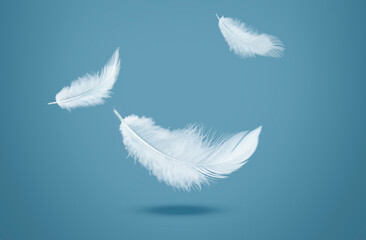 Abstract White Bird Feathers Falling in The Air. Feathers Floating in Heavenly	
