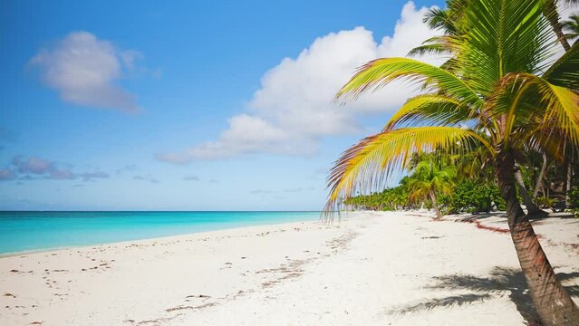 Paradise beach with palm trees on white sand on a sunny summer day. Beautiful tropical Caribbean Sea coast in Tulum in Quintana Roo, Riviera Maya, Cancun, Mexico. Landscape nature sea island.