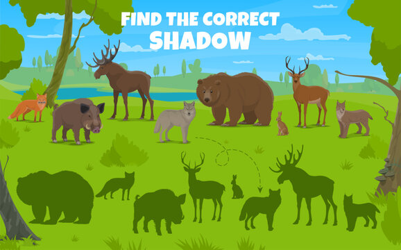 Find correct shadow of cartoon hunting forest animals and birds. Vector game, riddle worksheet with wolf, boar, bear and deer, fox, hare, elk or lynx wildlife beasts on green lawn in summer wood