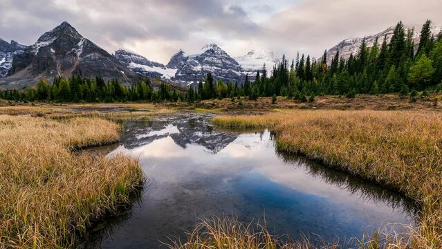 Scenery of Mount Assiniboine on golden meadow and pond reflection in autumn forest at Assiniboine provincial park