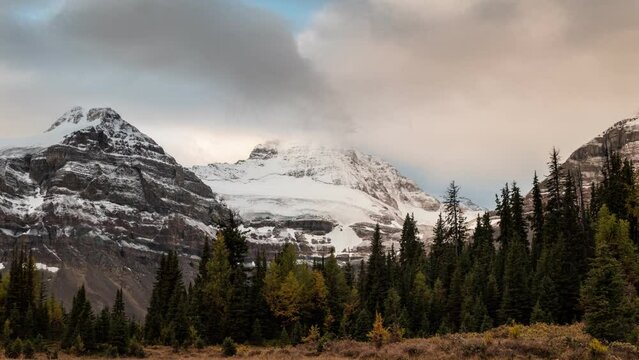 Scenery of Mount Assiniboine with cloudy blowing in autumn forest at Assiniboine provincial park