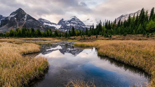 Scenery of Mount Assiniboine on golden meadow and pond reflection in autumn forest at Assiniboine provincial park