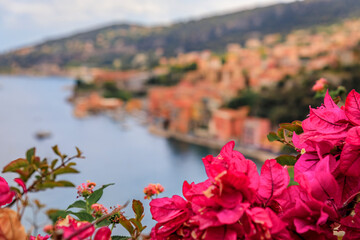 Villefranche sur Mer medieval town in South of France with bougainvillea blossom