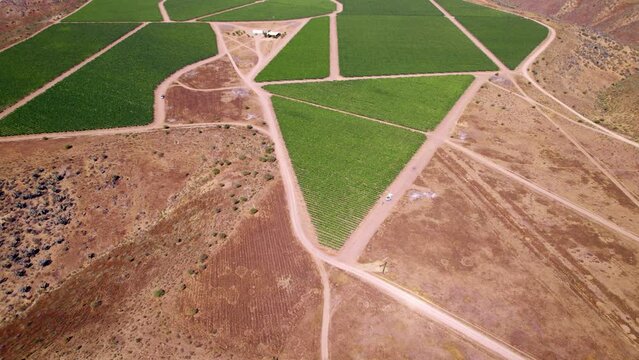 Aerial rotating shot of vineyards between cliffs in Limari Valley, Chile