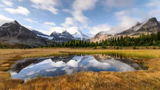 Scenery of Mount Assiniboine with pond reflection on golden meadow in autumn forest at Assiniboine provincial park