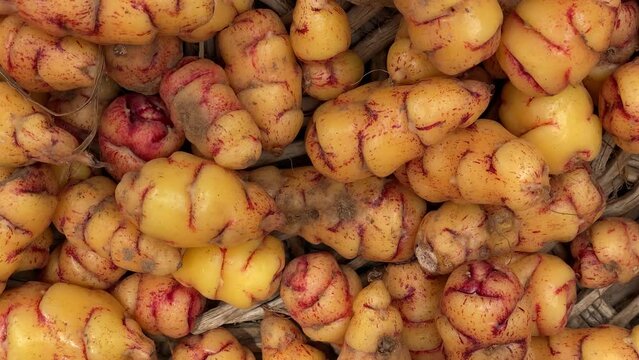 olluco closeup top view. peruvian andean food, peruvian gastronomy