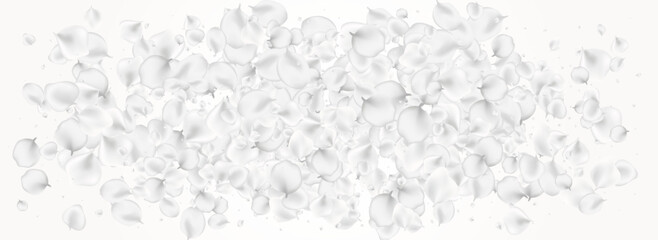 Gray Floral Vector Light Panoramic Background.
